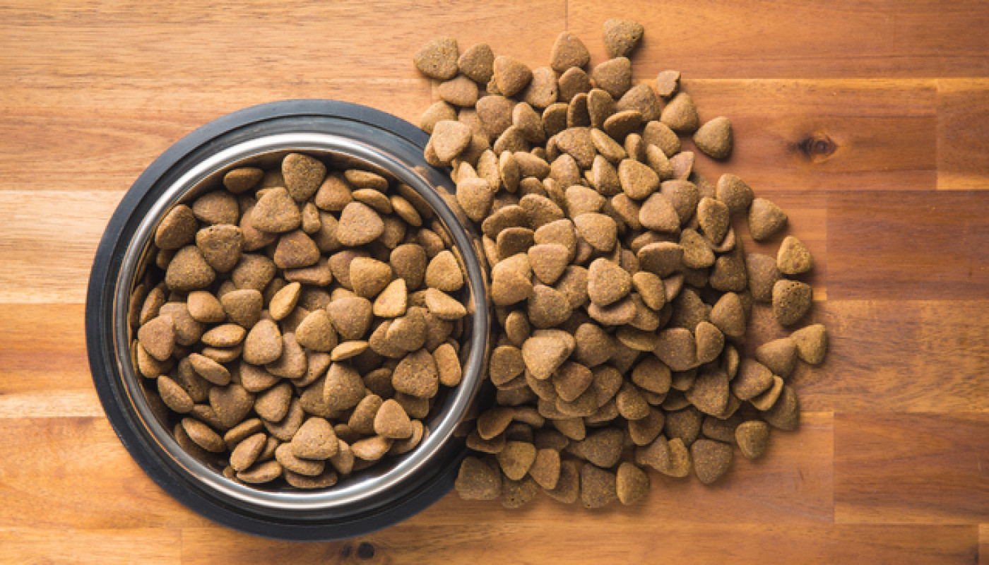Croquettes pour chat : des recettes adaptées pour chaque besoin